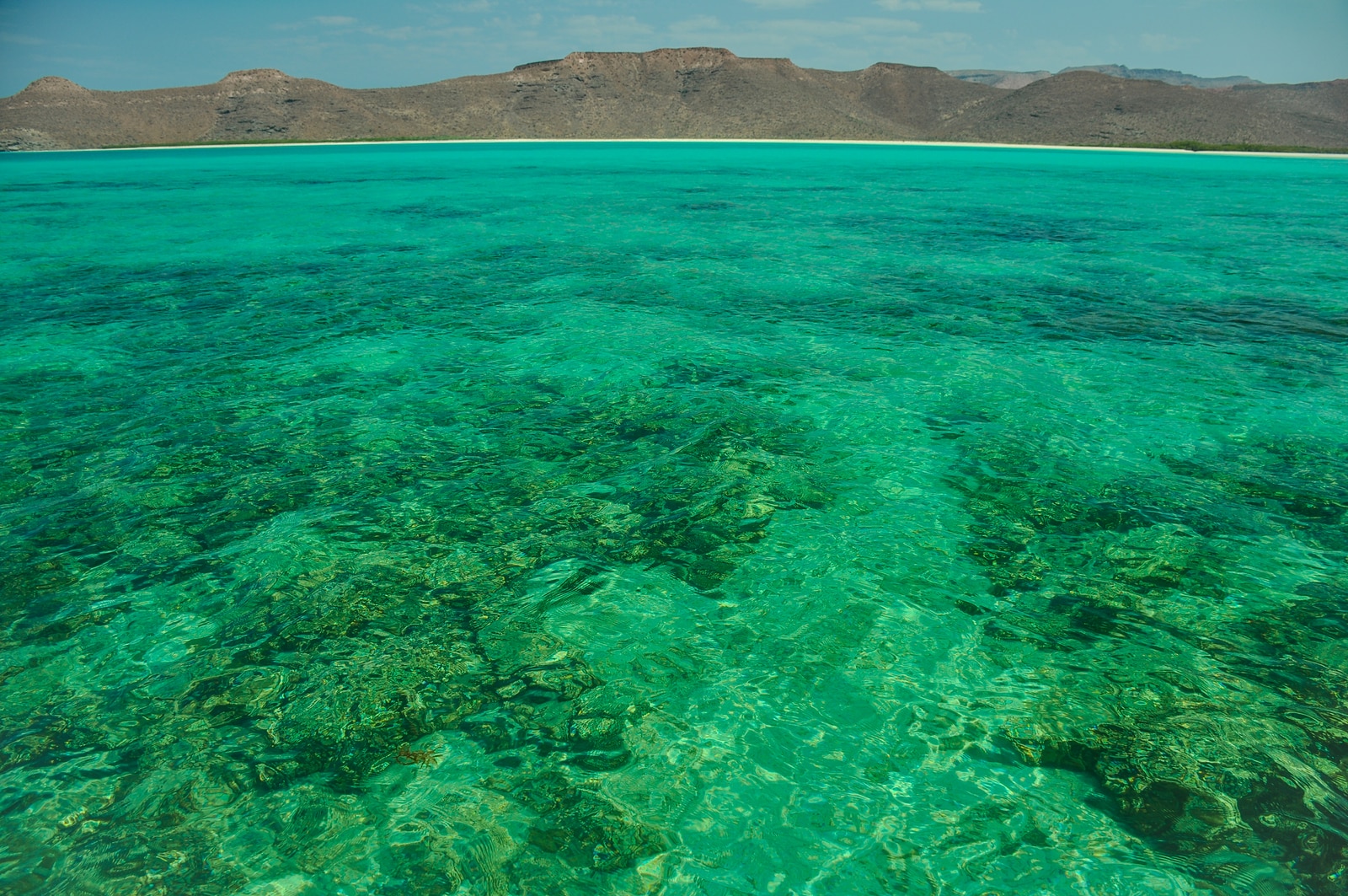 Baja California and its Sea of Cortez 