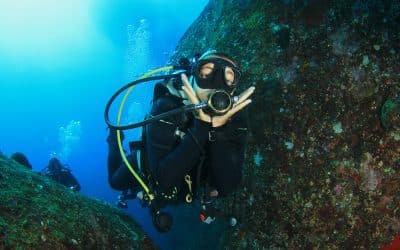 Dive Into Adventure With Krystal International Vacation Club